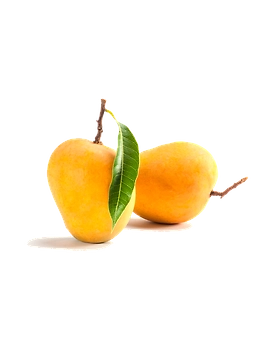 Alphonso Mango