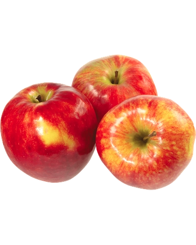 Apple Kinnaur-Gf1004