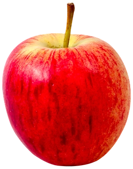 Apple Shimla
