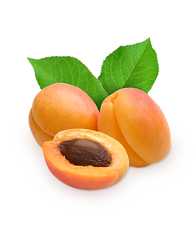 Apricote-Gf1027