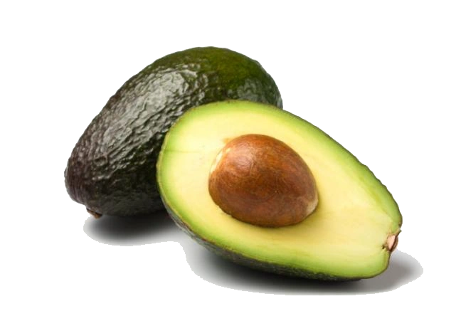 Avocado-Gf1028