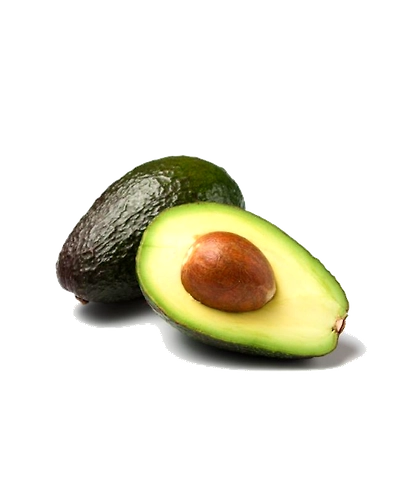 Avocado-Gf1028