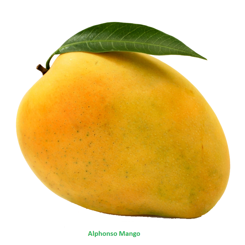 Badami Mango-Gf1029