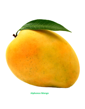Badami Mango
