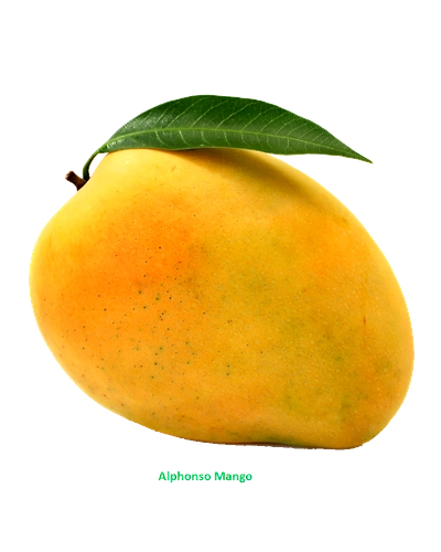 Badami Mango-Gf1030