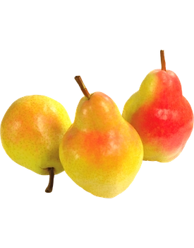 Beauty Pear - Imported