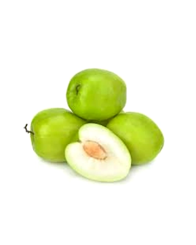 Ber - Apple-Gf1036