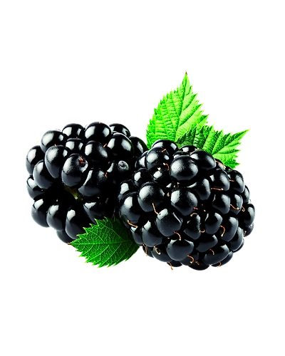 Blackberry-Gf1038