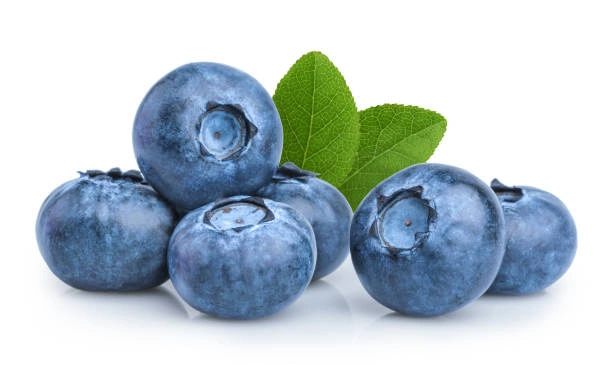 Blueberry - Imported-Gf1039