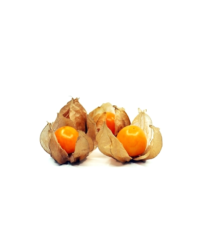 Cape Gooseberry-Gf1040