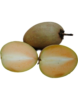 Chickoo ( Sapota )