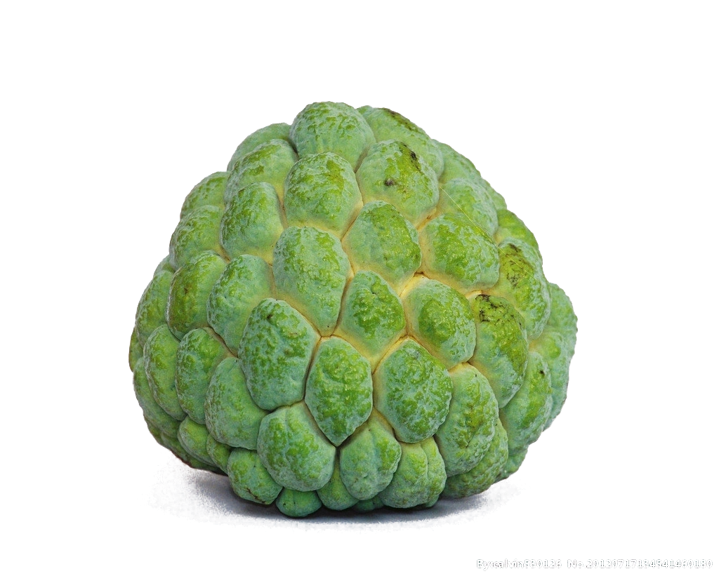 Custard Apple-Gf1047