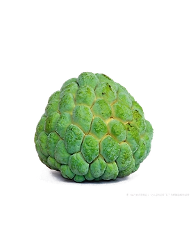 Custard Apple