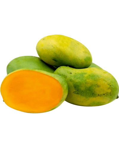 Dasheri Mango-Gf1050