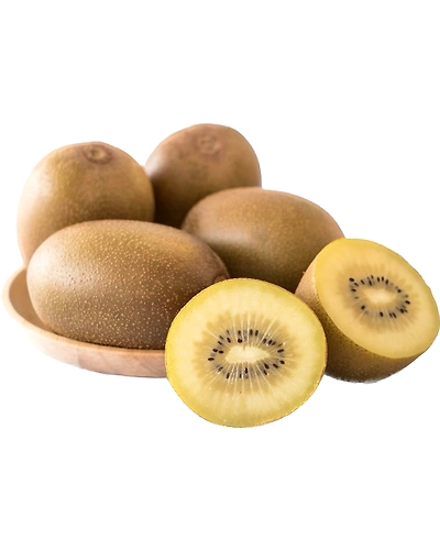Golden Kiwi - Imported-Gf1055