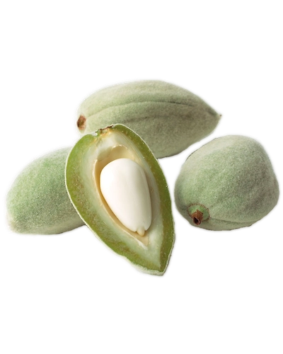 Green Almond-Gf1059