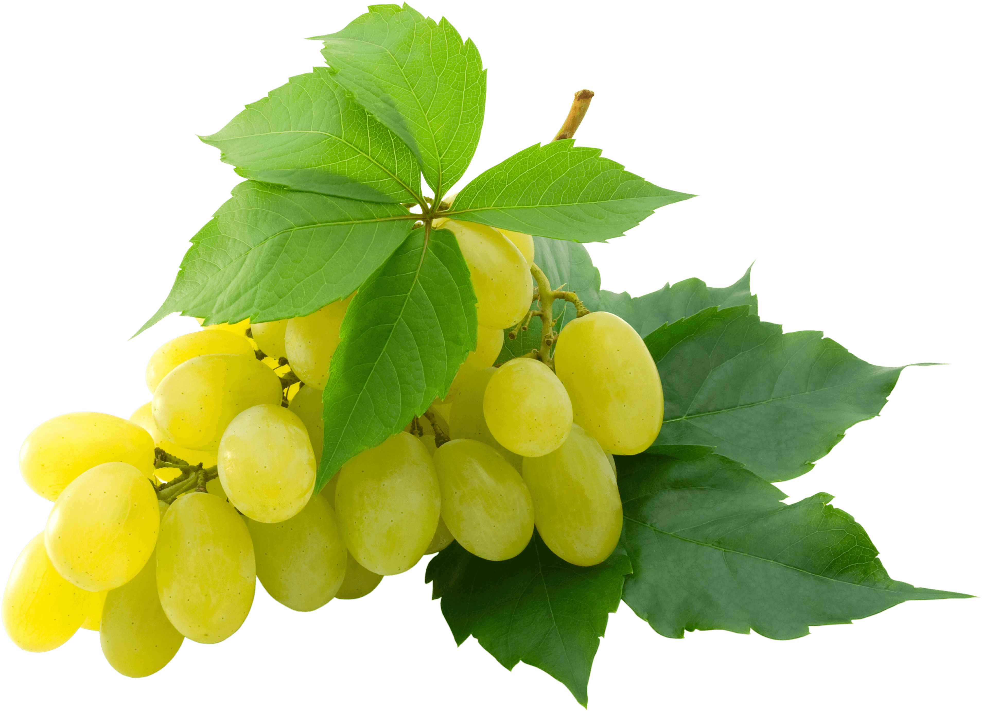 Green Grapes-Gf1064