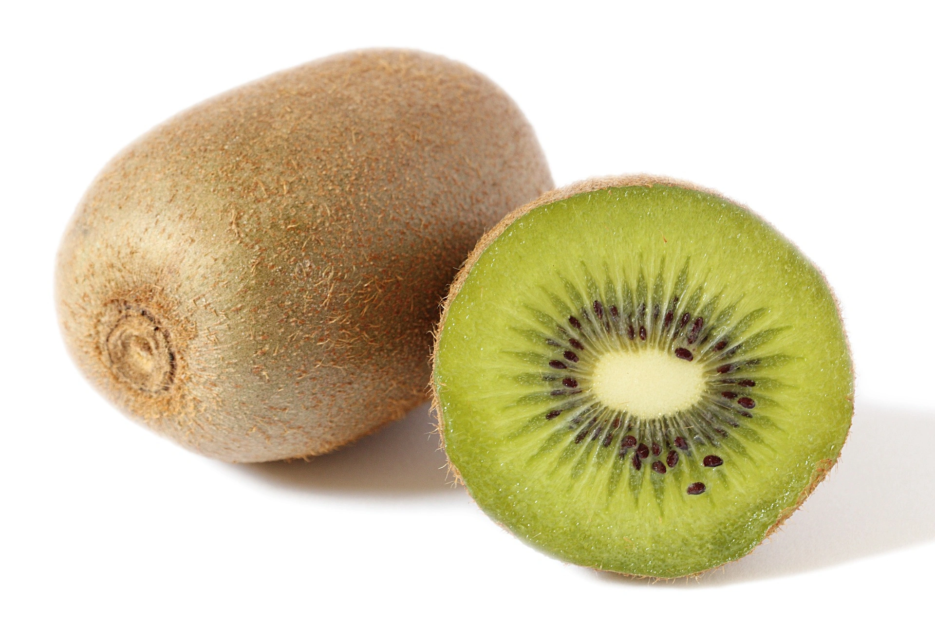 Green Kiwi - Imported-Gf1065