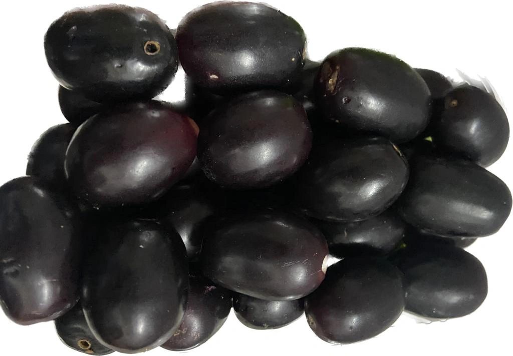 Jamun-Gf1067