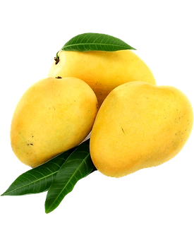 Kesar Mango