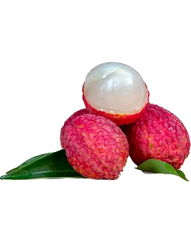 Litchi