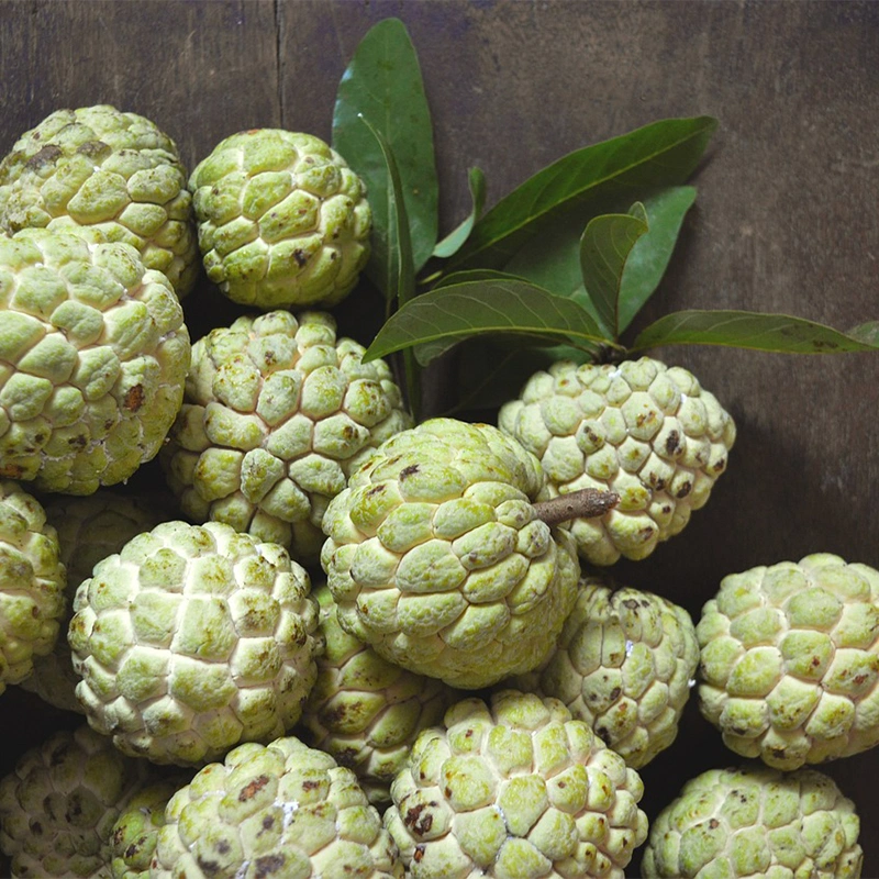 Custard Apple-500 g-1