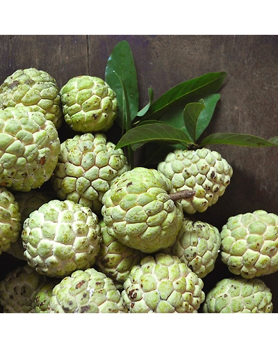 Custard Apple-500 g-1