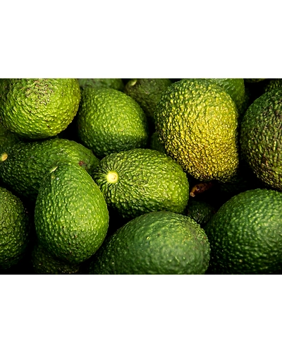Avocado-1 Pc-2
