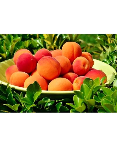 Peach - Indian-500 g-1