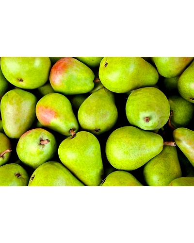 Pear - Indian-500 g-1
