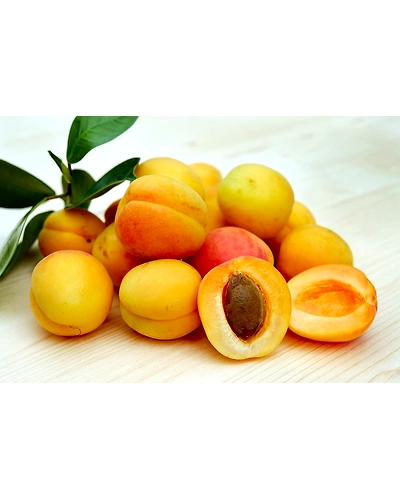 Apricote-500 g-1