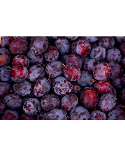 Plum - Imported-500 g-1