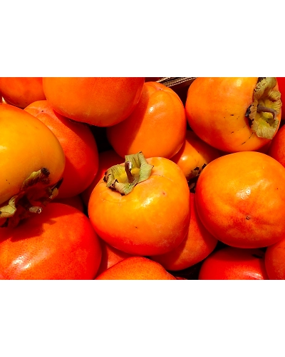 Persimmon-500 g-1
