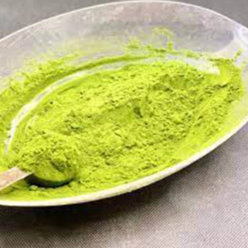 Alfalfa Powder ( Organic Powder )-Bio1016