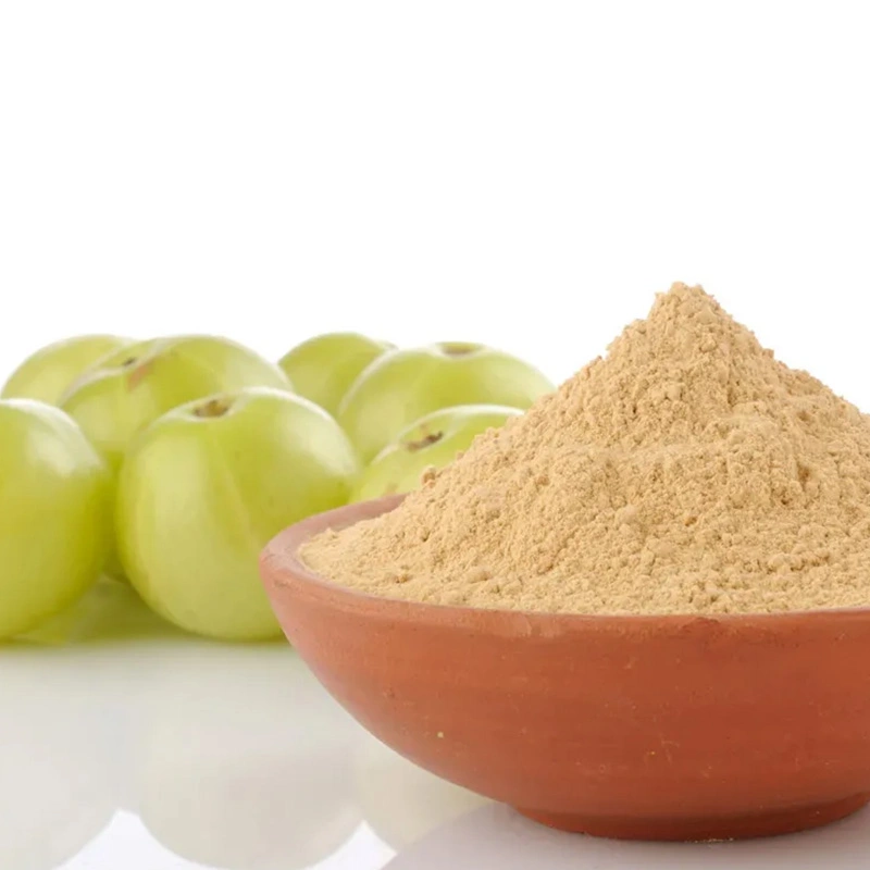 Amla Powder ( Organic Powder )-Bio1012