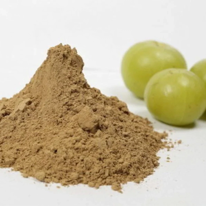 Amla Powder ( Organic Powder )-2