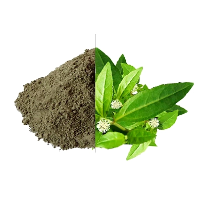 Bringhraj Powder ( Organic Powder )-2