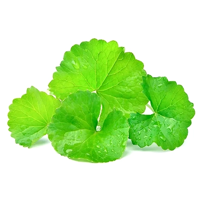 Bhrami Powder ( Organic Powder )-2