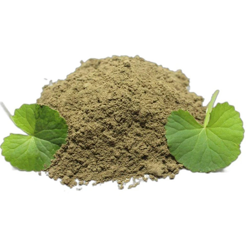 Bhrami Powder ( Organic Powder )-Bio1028