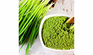 Wheat Grass Powder ( Organic Powder )