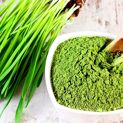 Wheat Grass Powder ( Organic Powder )-Bio1015