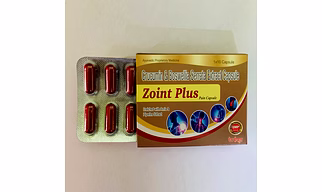 ZOINT PLUS CAPSULE ( PAIN MANAGMENT ) 500 mg