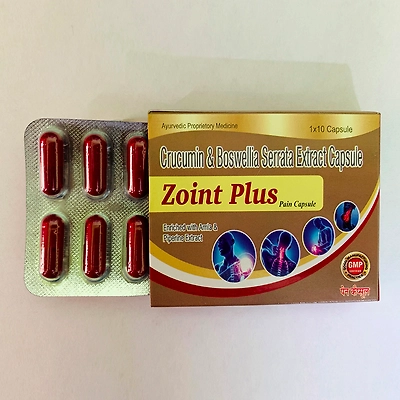 ZOINT PLUS CAPSULE ( PAIN MANAGMENT ) 500 mg-Bio1008