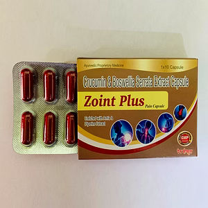ZOINT PLUS CAPSULE ( PAIN MANAGMENT ) 500 mg