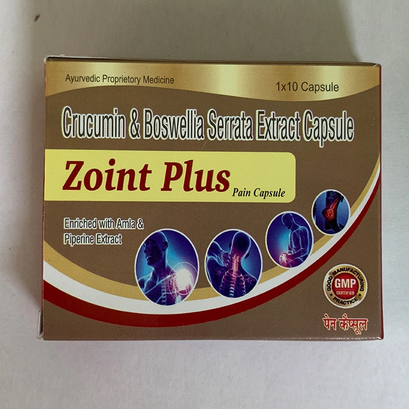 ZOINT PLUS CAPSULE ( PAIN MANAGMENT ) 500 mg-1