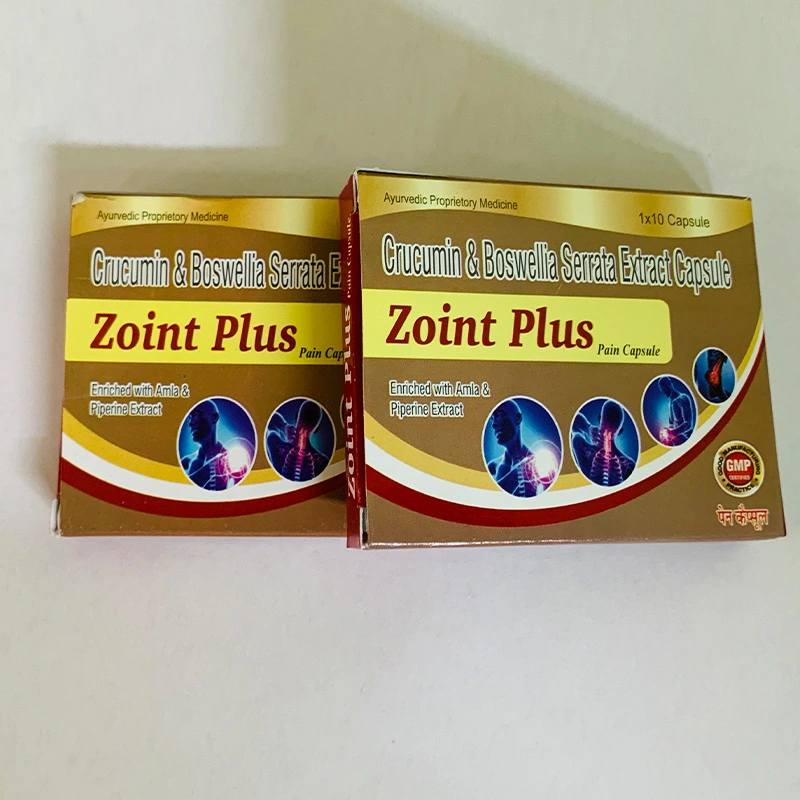 ZOINT PLUS CAPSULE ( PAIN MANAGMENT ) 500 mg-2