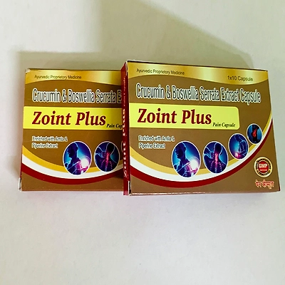 ZOINT PLUS CAPSULE ( PAIN MANAGMENT ) 500 mg-2