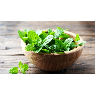Mint Leaf Powder ( Organic Powder )-2