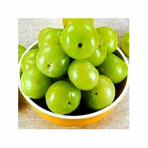 AMALA EXTRACT CAPSULE ( 500 mg 60 capsule )