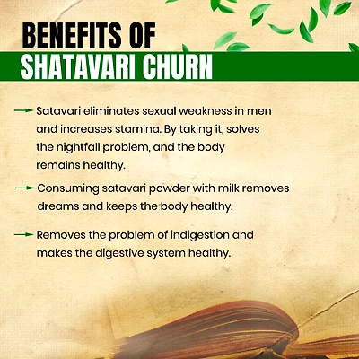 Satavari Powder ( Organic Powder )-2